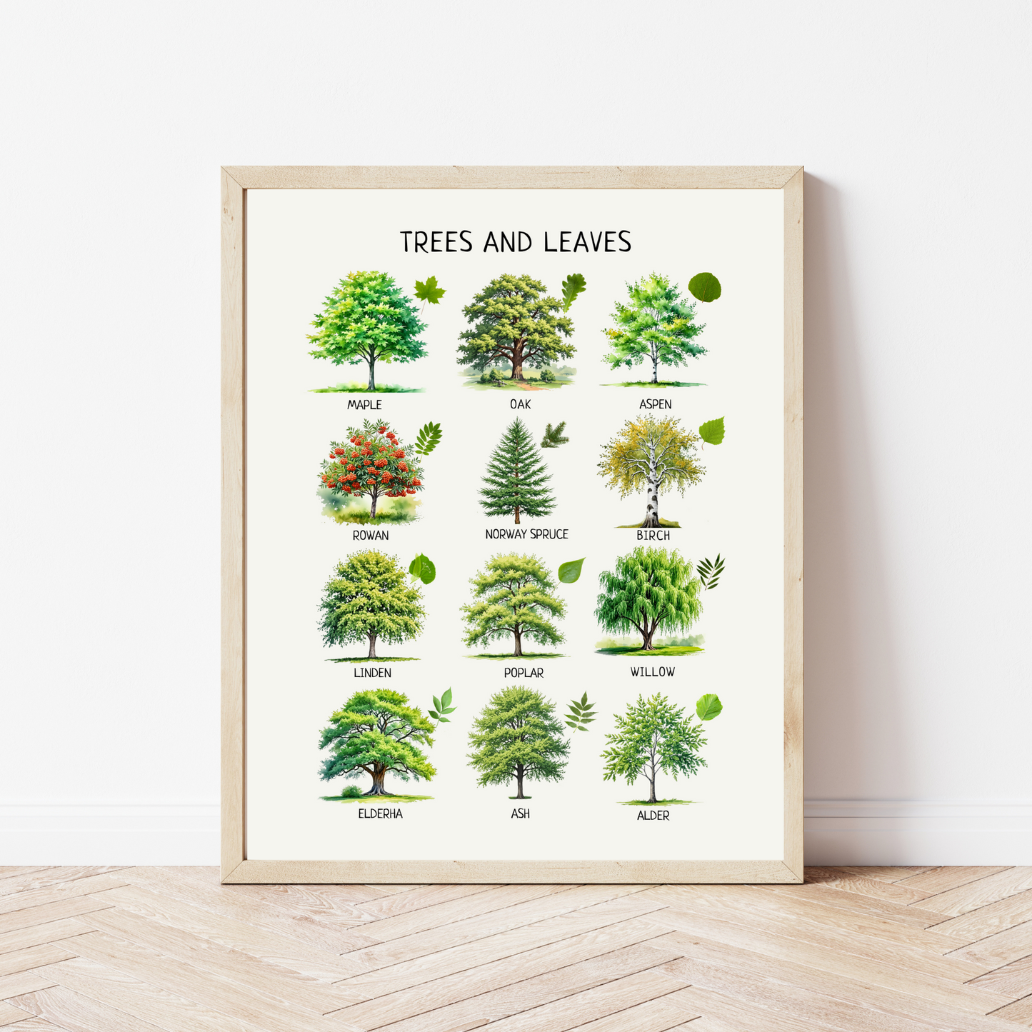 Educational Trees & Leaves Poster, Printable Wall Decor, Nature Poster, Montessori Homeschool Decor, Nursery Room Decor, FRAME NOT INCLUDED