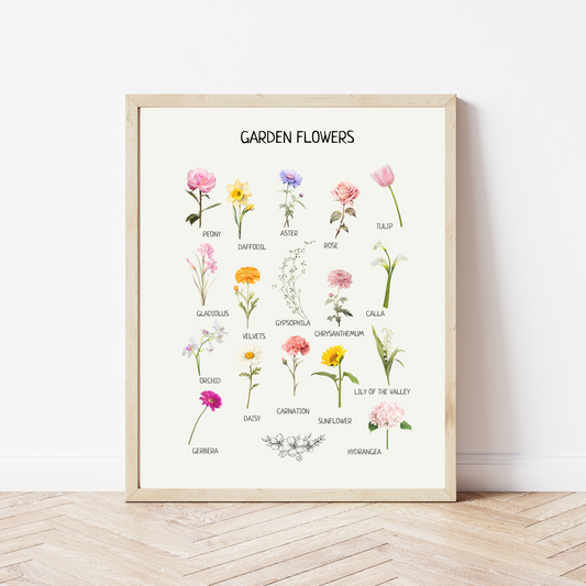 Educational Garden Flowers Poster, Kids Wall Art, Flowers Poster, Montessori Classroom Decor, Nursery Room Decor, FRAME NOT INCLUDED