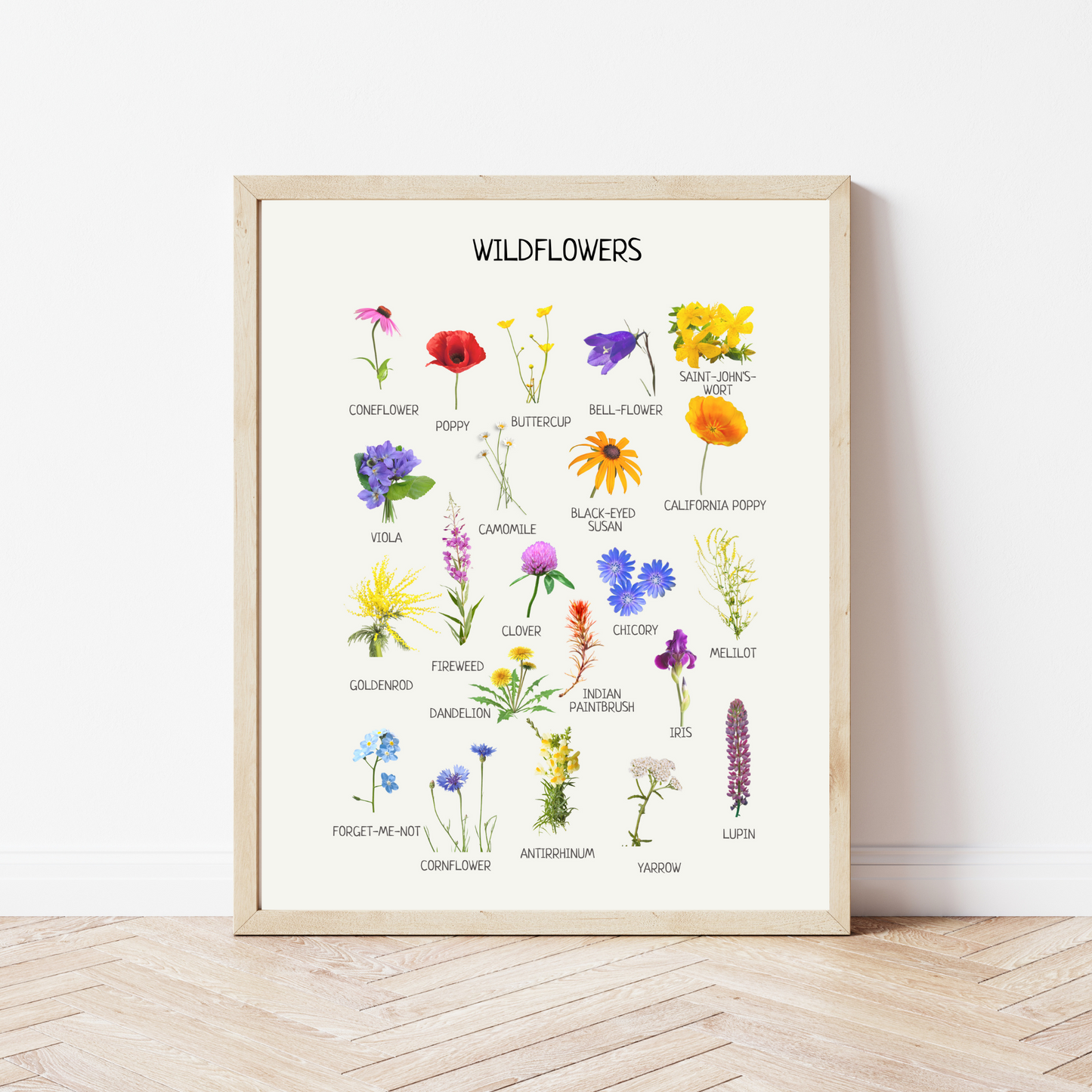 Wildflowers Educational Poster, Flowers Wall Art, Montessori Printable Poster, Classroom Decor, Nursery Room Decor, FRAME NOT INCLUDED