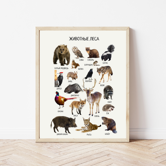 Woodland Animal Posters in Russian – Educational Nursery Wall Print