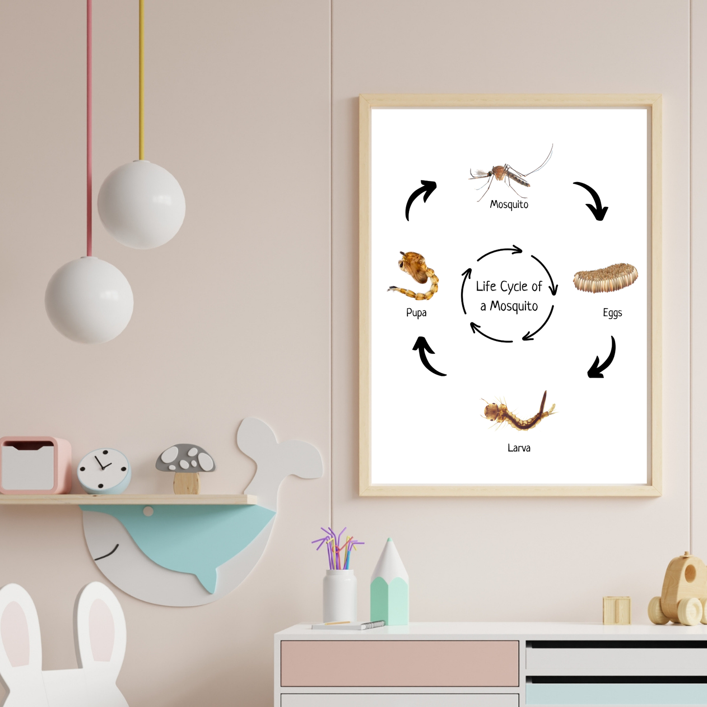 Life Cycle of a Mosquito, Montessori Educational Poster, Science Poster, Homeschool Prints, Printable Classroom Poster