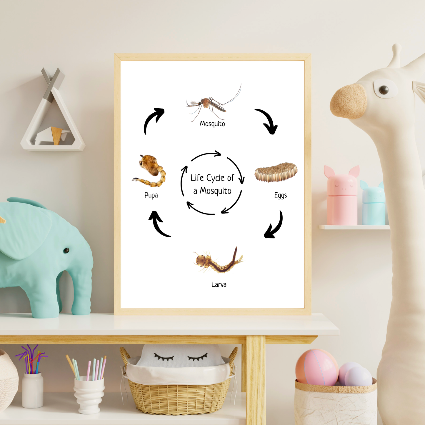 Life Cycle of a Mosquito, Montessori Educational Poster, Science Poster, Homeschool Prints, Printable Classroom Poster