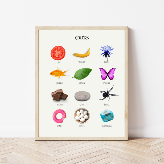 Colors Educational Poster, Montessori Poster, Learn Colors, Classroom Decor, Colors Poster, Montessori Classroom Decor FRAME NOT INCLUDED