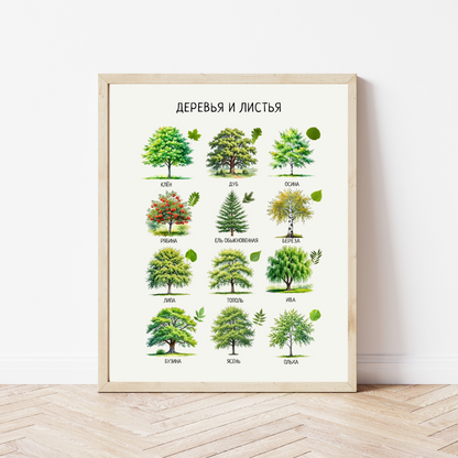 Russian Montessori-Inspired Educational Printed Learning Posters for Kids