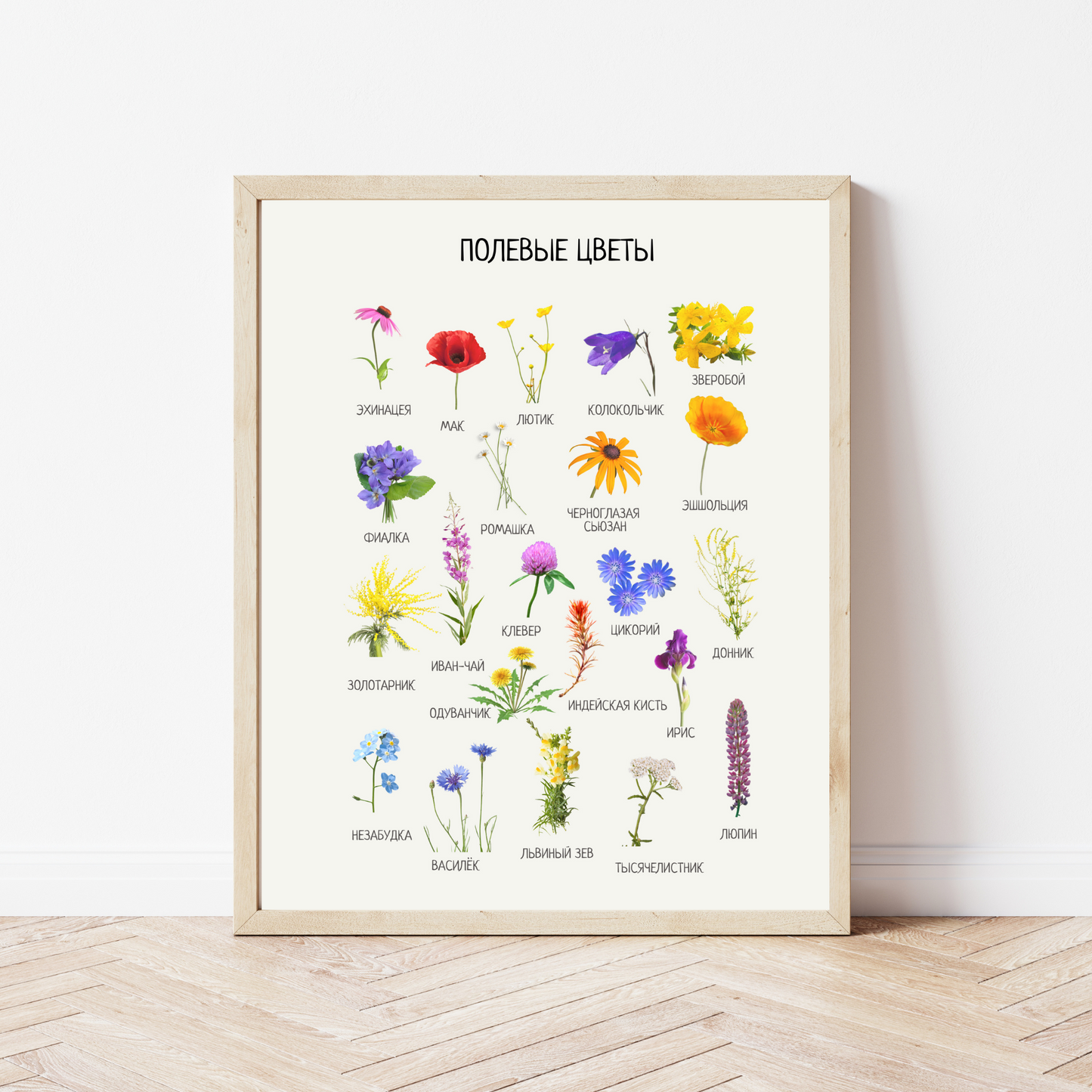 Russian Montessori-Inspired Educational Printed Learning Posters for Kids