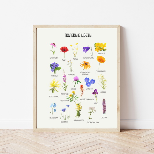 Wildflower Poster in Russian – Botanical Kids Wall Art
