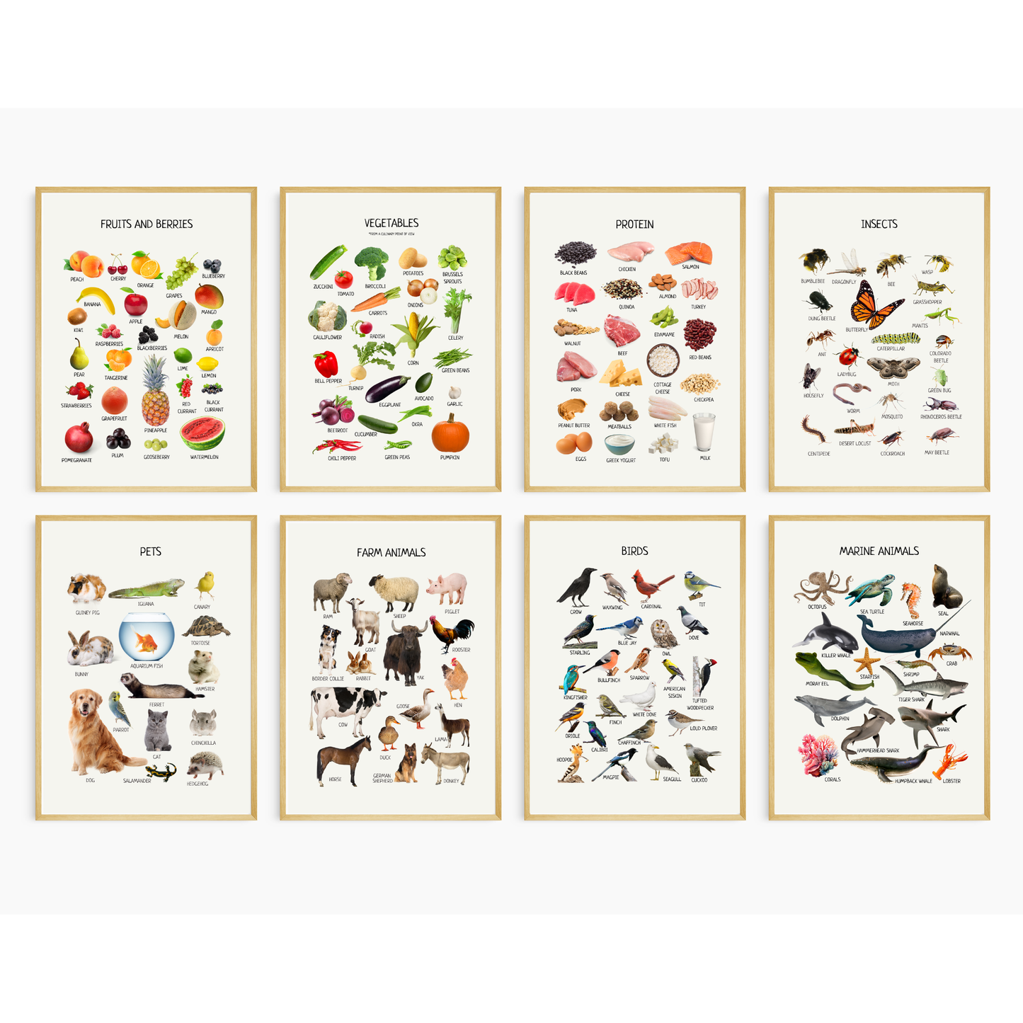 Custom Poster Bundle - Pick Your Own Learning Prints 12“x16” (bundle of 6)