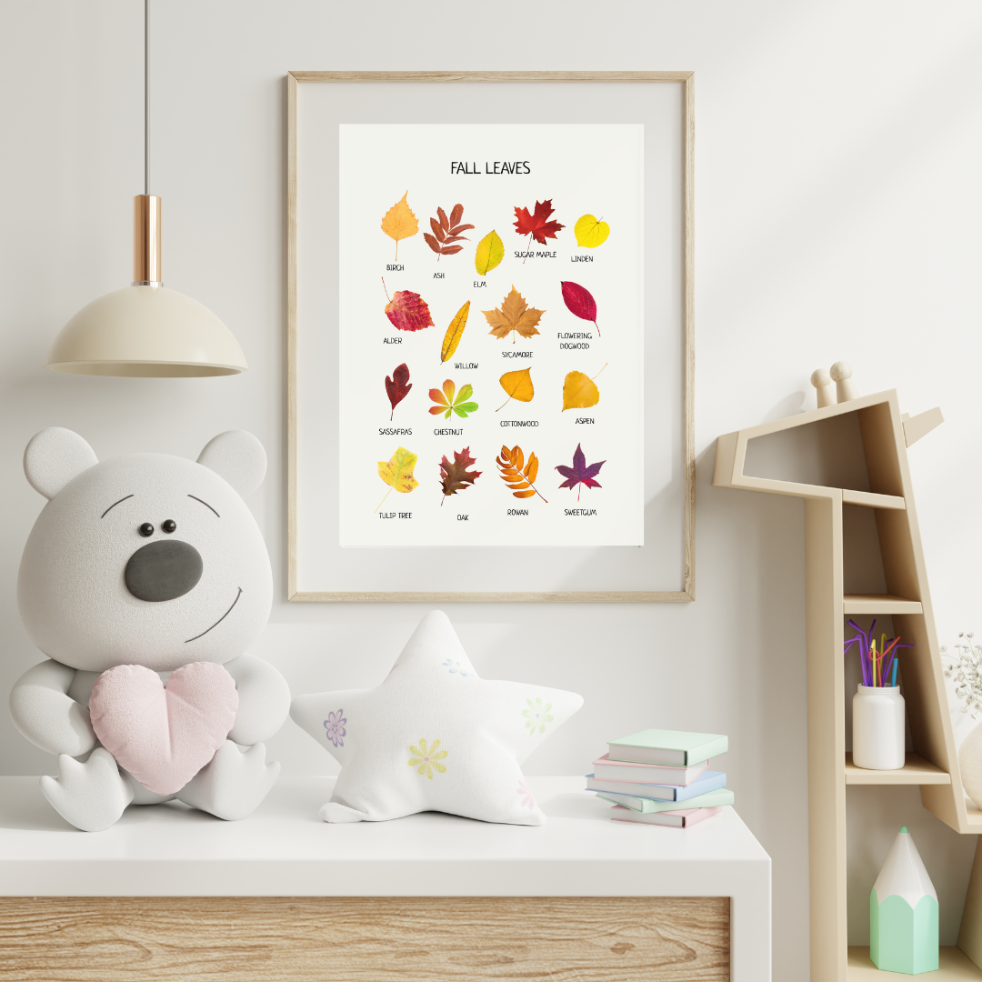 Fall Leaves Poster - Educational Learning Printable Wall Decor Poster