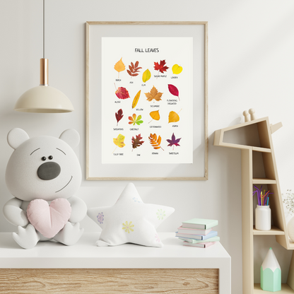 Fall Leaves Poster - Educational Learning Printable Wall Decor Poster