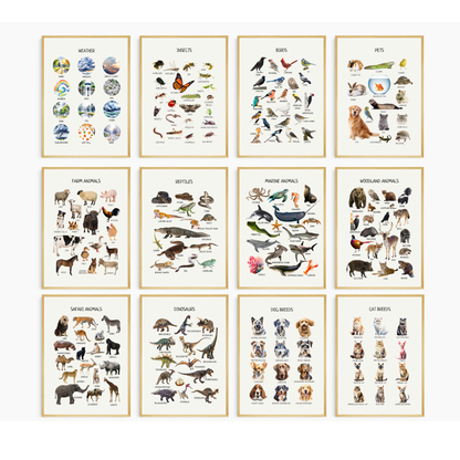 Educational Wall Posters for Kids – Montessori & Homeschool Learning Prints