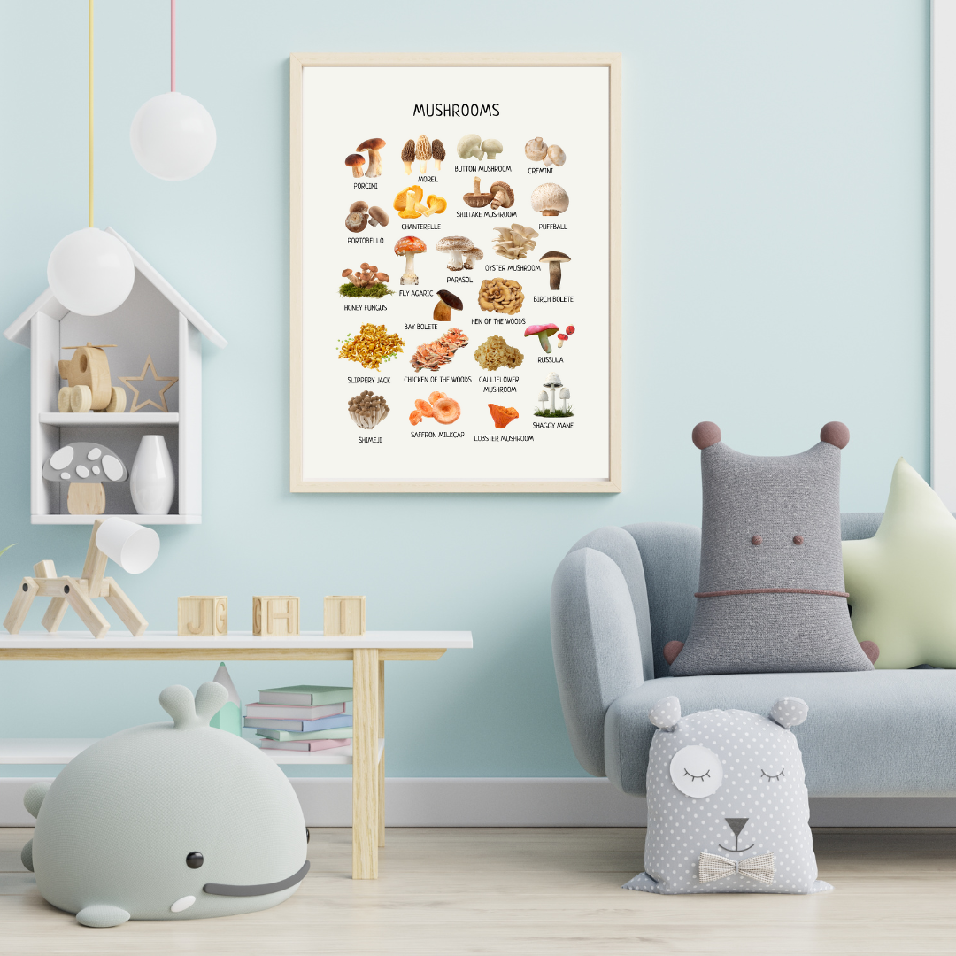 Mushroom Poster - Homeschool Educational Learning Printable Wall Decor Poster