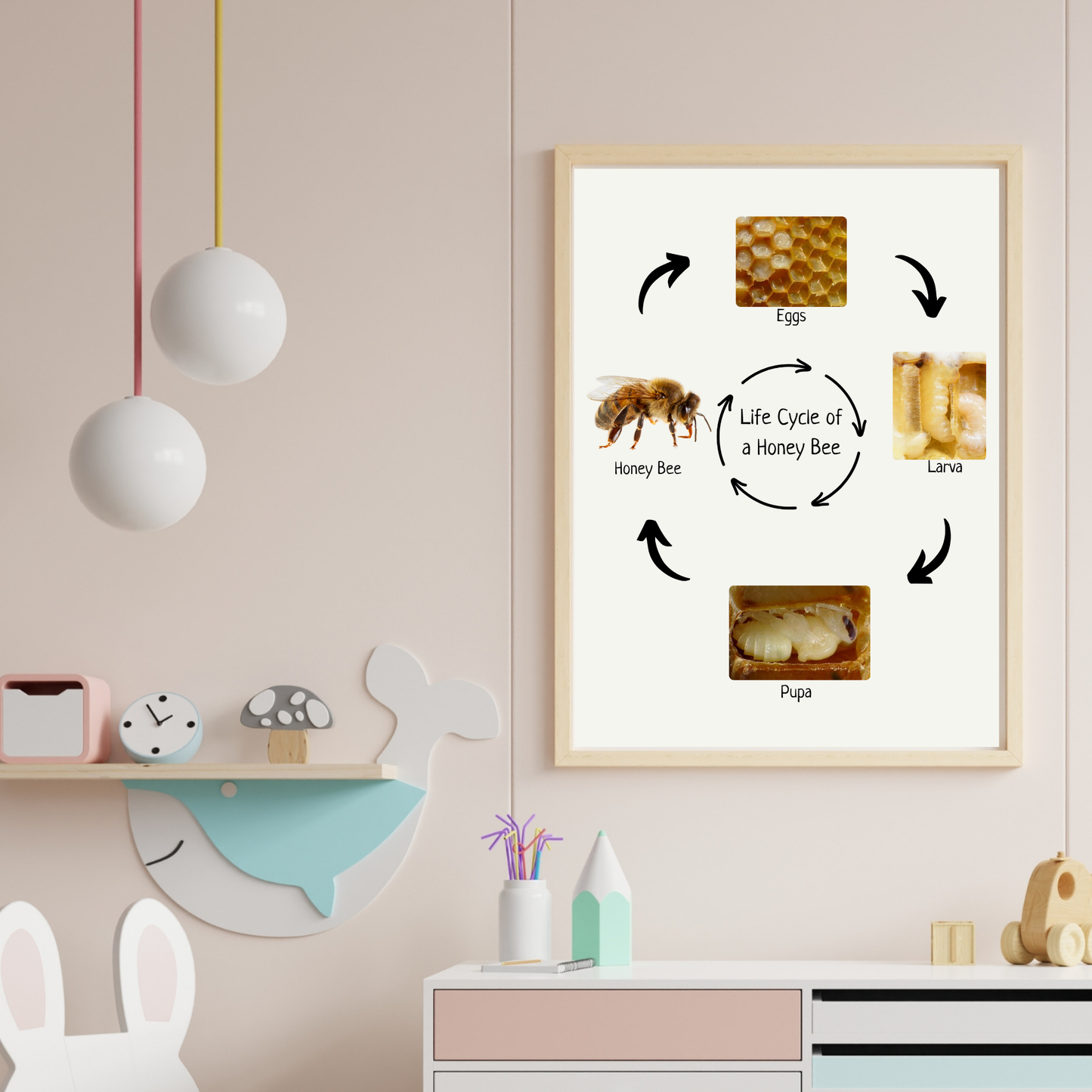 Honey Bee Life Cycle, Insect Life Cycle, Educational Poster, Science Poster, Homeschool Prints, Montessori Classroom Decor