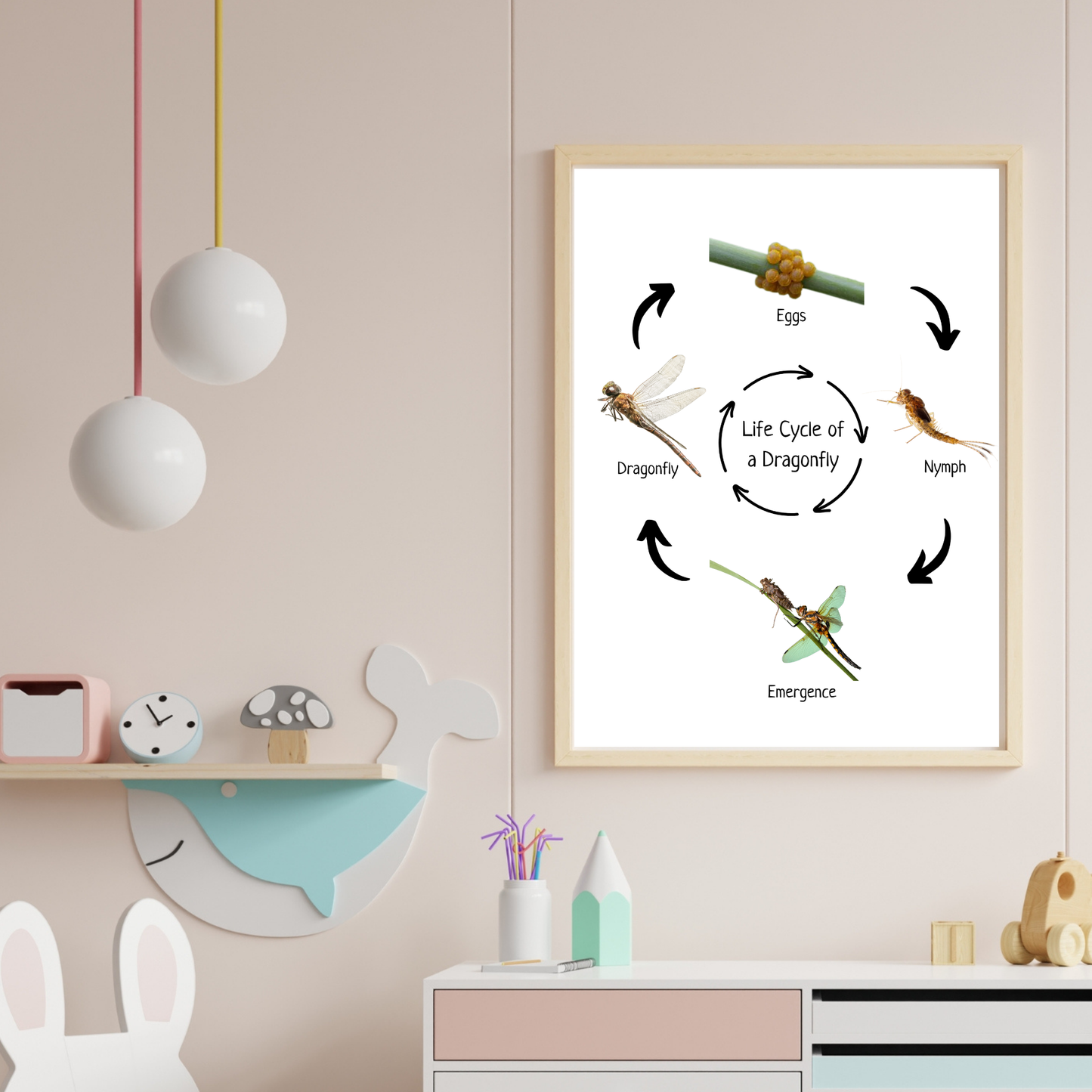 Montessori Life Cycle of a Dragonfly, Educational Poster, Science Poster, Homeschool Prints, Printable Classroom Poster