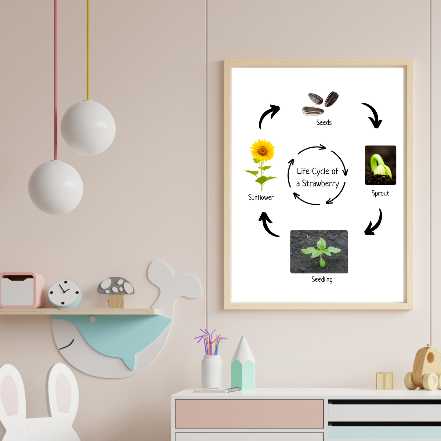 Montessori Life Cycle of a Sunflower, Educational Poster, Homeschool Prints, Science Poster, Printable Classroom Decor