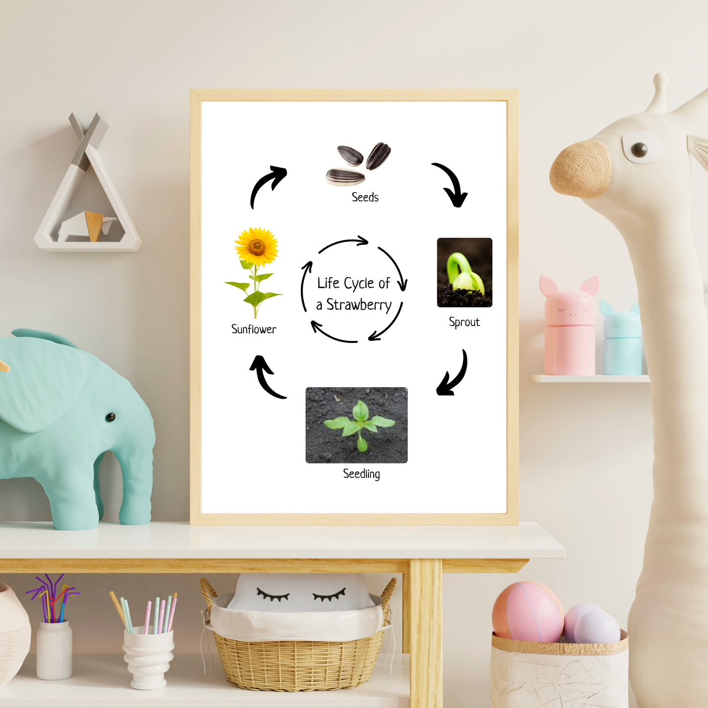 Montessori Life Cycle of a Sunflower, Educational Poster, Homeschool Prints, Science Poster, Printable Classroom Decor