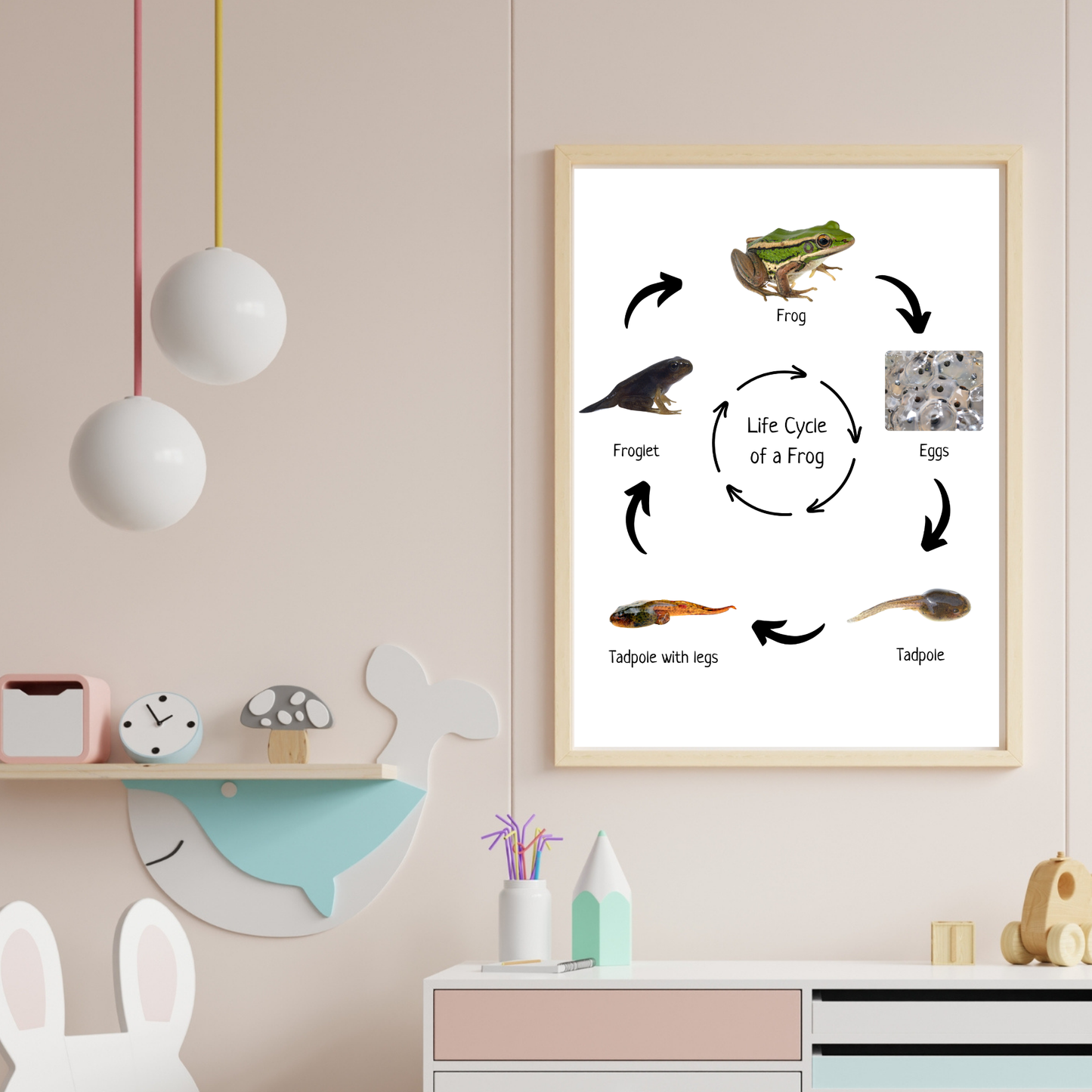 Life Cycle of a Frog, Educational Poster, Homeschool Prints, Science Poster, Printable Classroom Decor