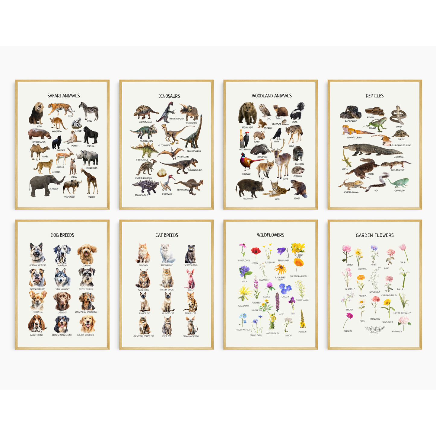 Educational Posters | 40 Homeschool Prints | Montessori Classroom Decor | Learning Posters | 40 Topics for Young Children & Preschoolers