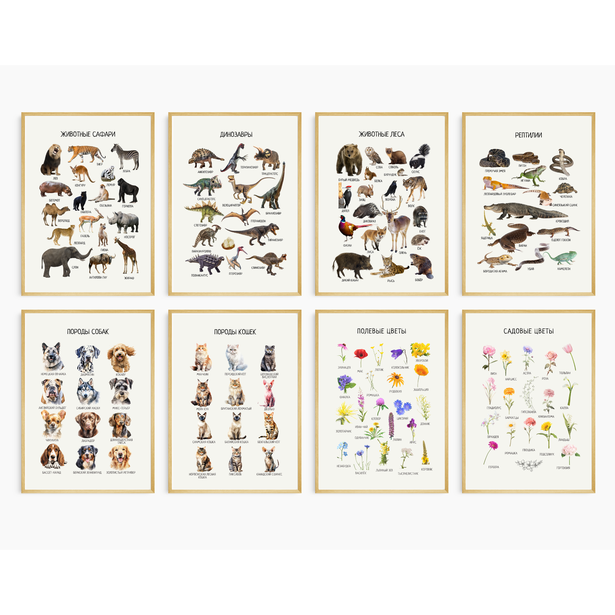 Комплект из 40 обучающих ЦИФРОВЫХ плакатов | Collection of educational digital posters in Russian, 40 Topics for Young Children & Preschoolers