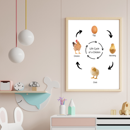 Life Cycle of a Chicken, Montessori Educational Poster, Homeschool Prints, Science Poster, Montessori Classroom Decor