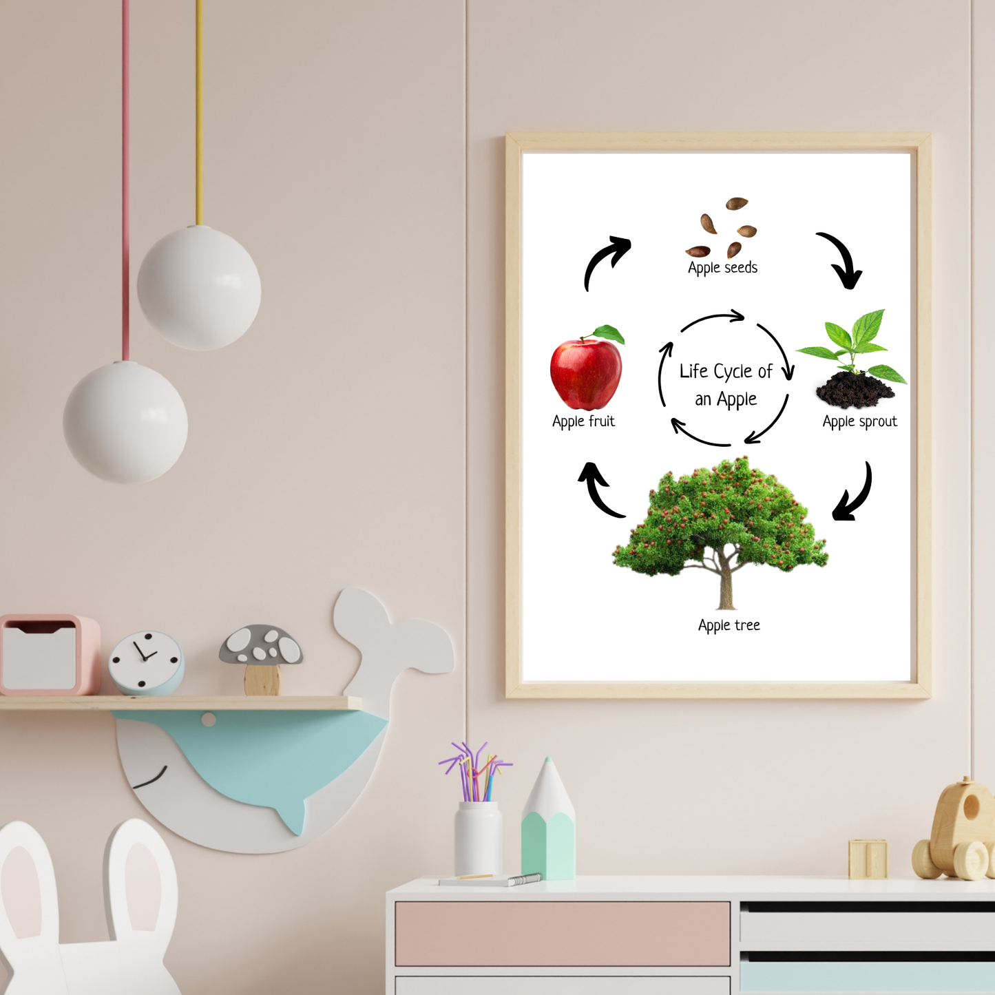 Life Cycle of an Apple, Educational Poster, Homeschool Prints, Montessori Classroom Decor