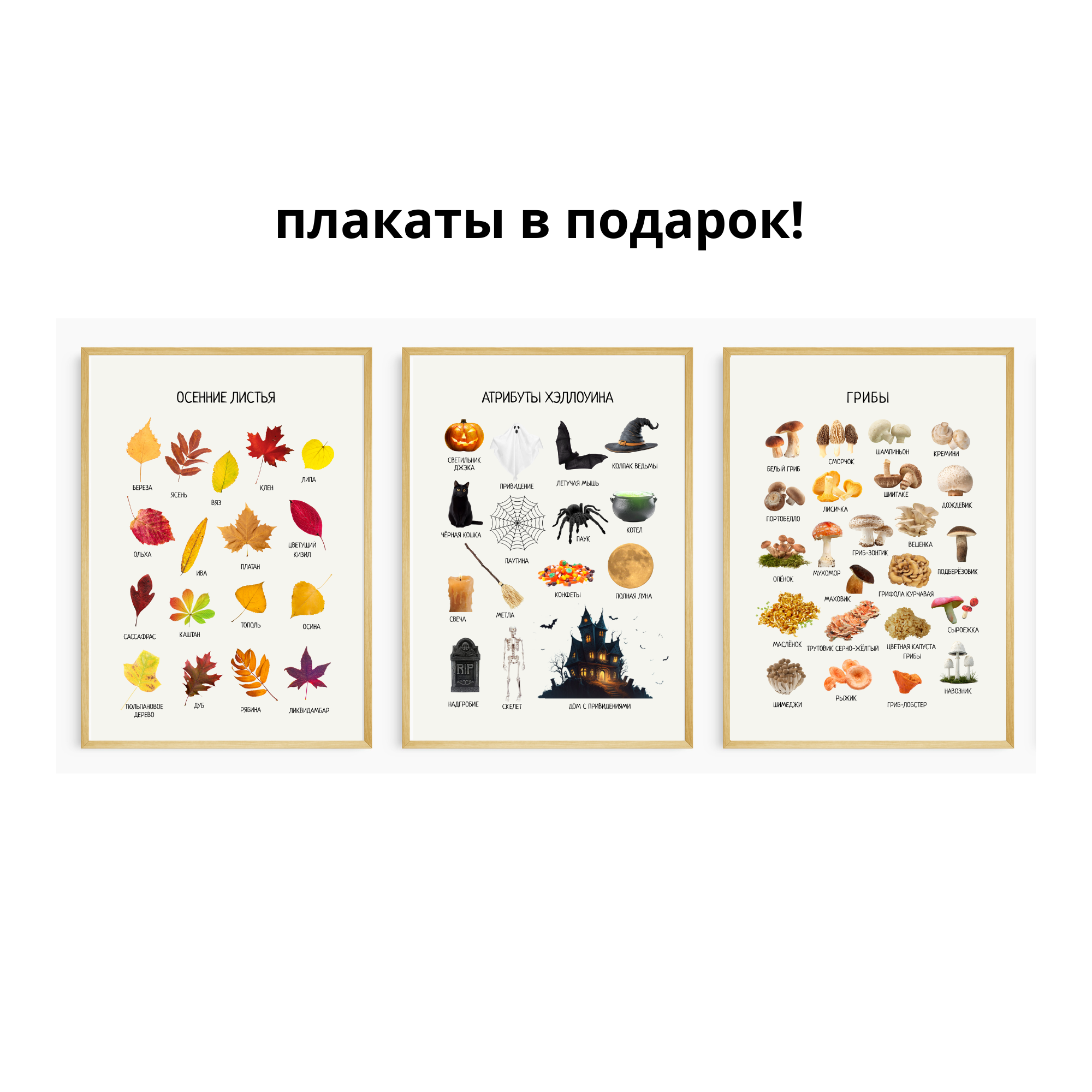 Комплект из 40 обучающих ЦИФРОВЫХ плакатов | Collection of educational digital posters in Russian, 40 Topics for Young Children & Preschoolers