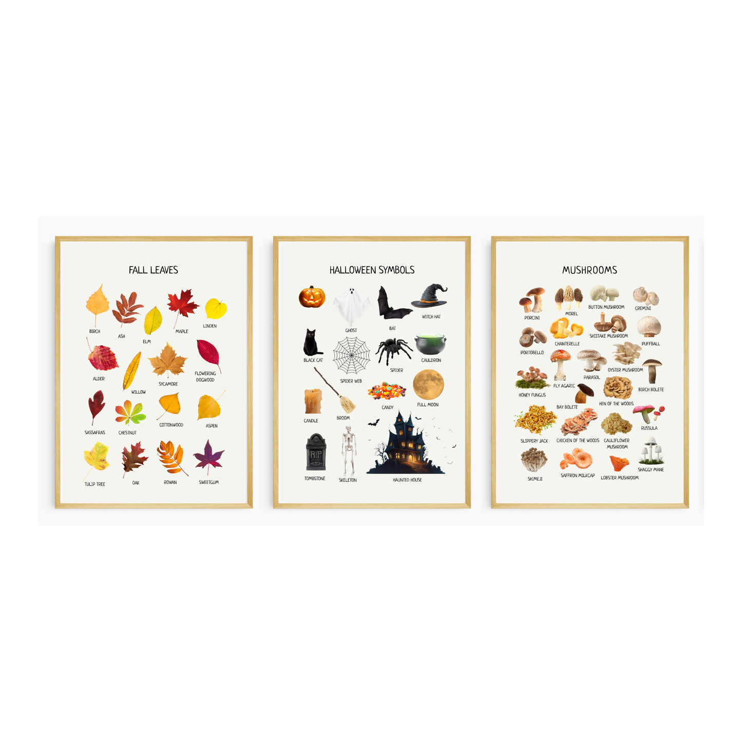Educational Posters | 40 Homeschool Prints | Montessori Classroom Decor | Learning Posters | 40 Topics for Young Children & Preschoolers