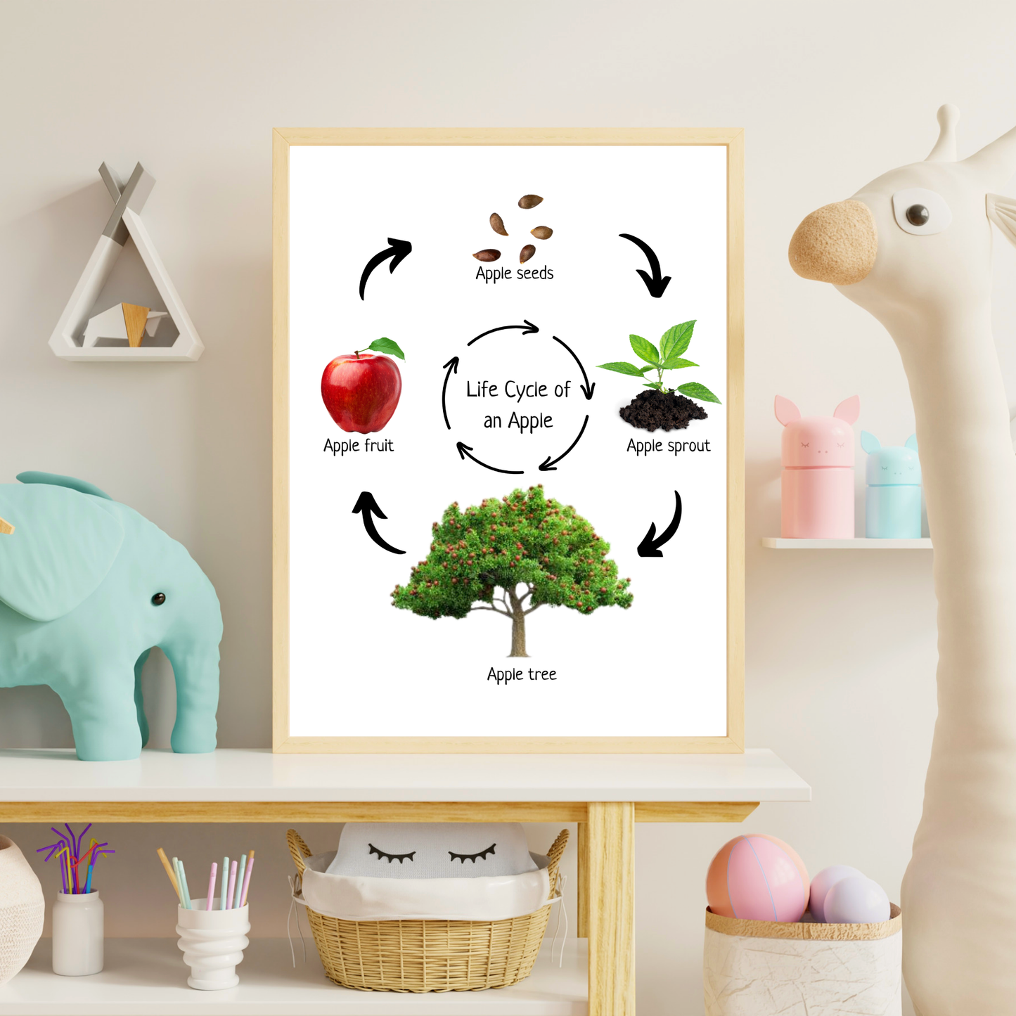 Life Cycle of an Apple, Educational Poster, Homeschool Prints, Montessori Classroom Decor