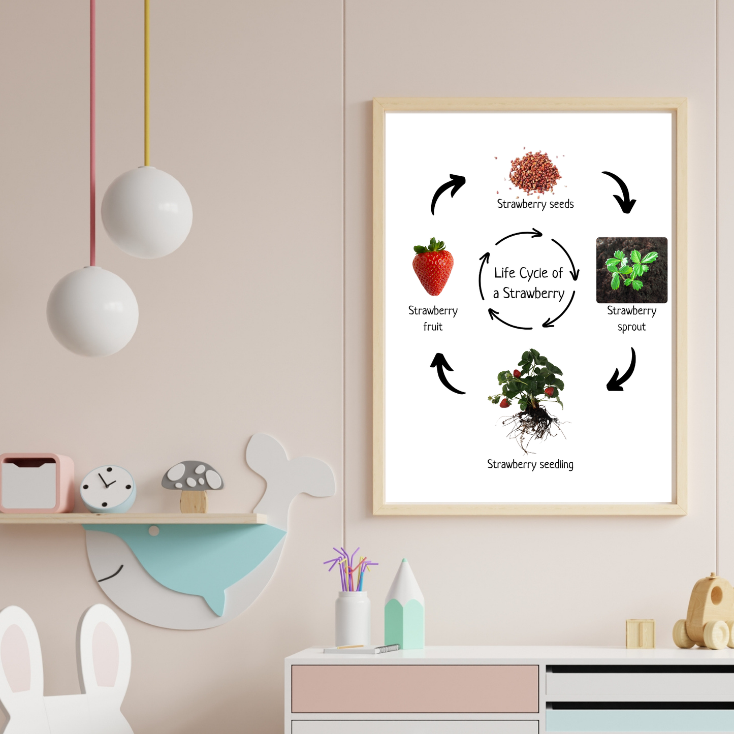 Strawberry Life Cycle, Educational Poster, Homeschool Prints, Montessori Classroom Decor, Science Poster