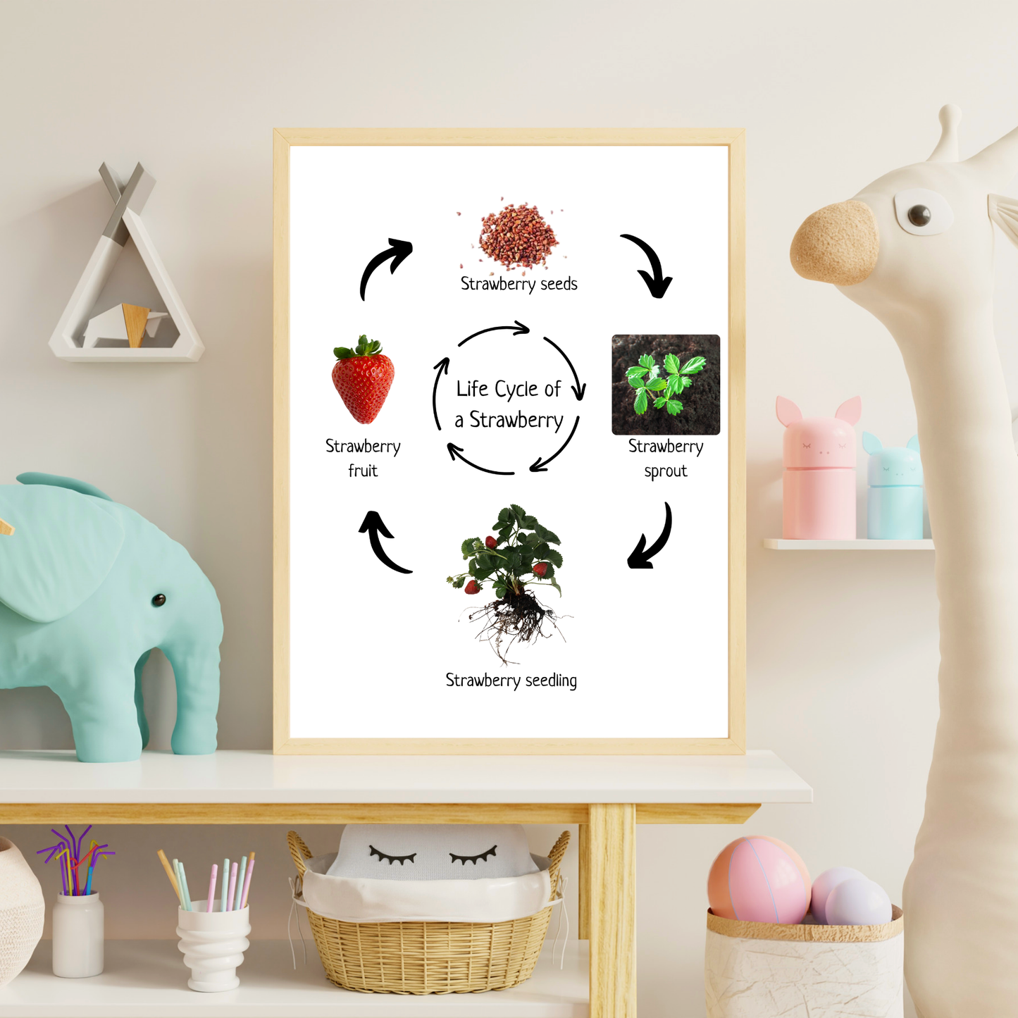 Strawberry Life Cycle, Educational Poster, Homeschool Prints, Montessori Classroom Decor, Science Poster