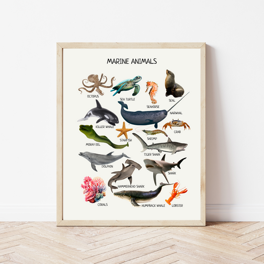 Marine Animals Educational Poster, Montessori Wall Art, Marine Life Poster, Classroom Decor, Nursery Room Decor, FRAME NOT INCLUDED