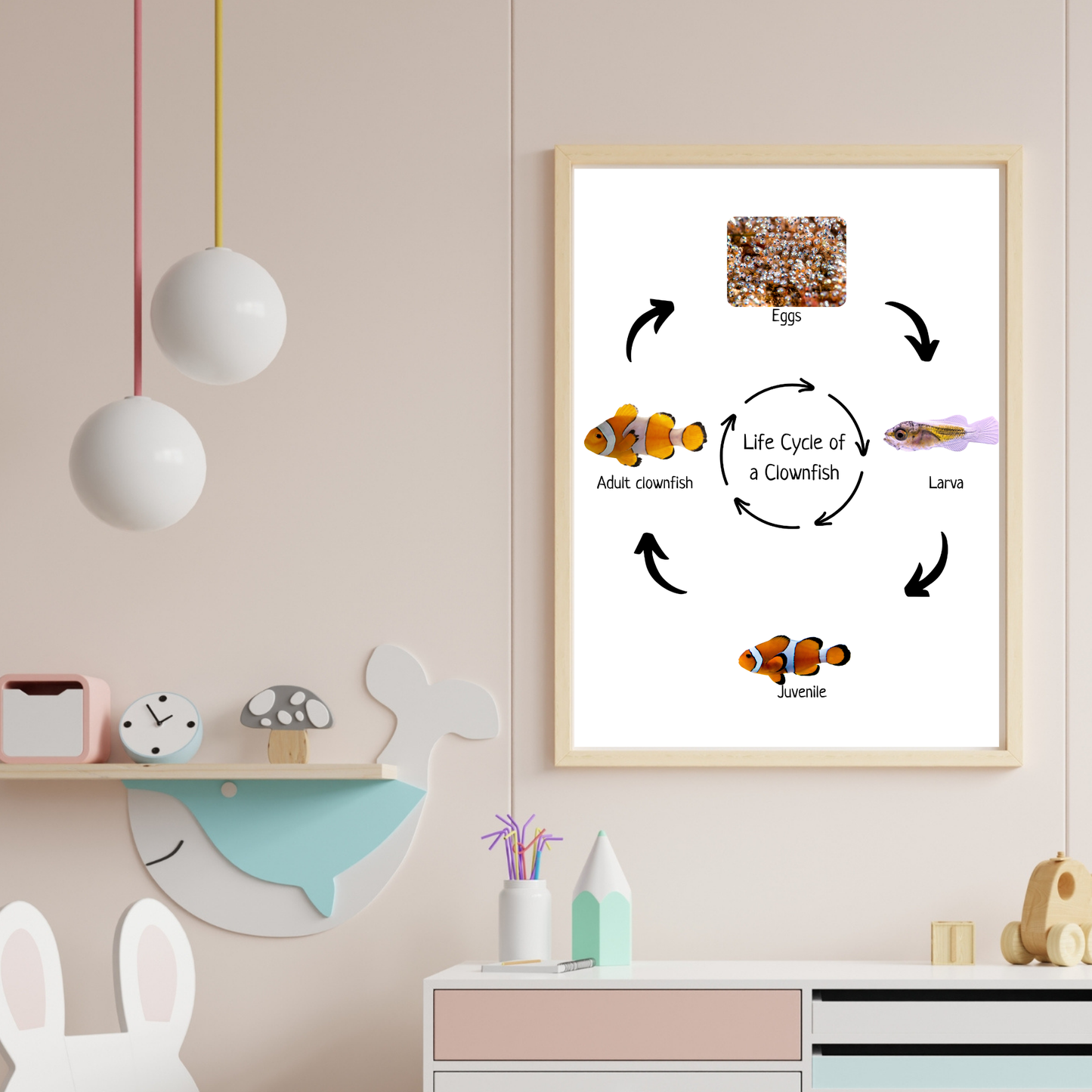 Clownfish Life Cycle, Fish Life Cycle, Educational Poster, Science Poster, Homeschool Prints, Printable Classroom Decor