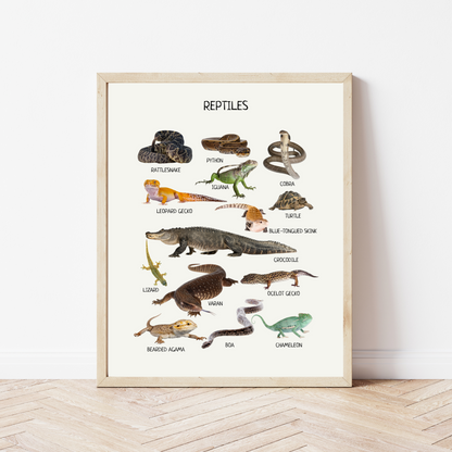 Reptiles Educational Poster, Montessori Printable Wall Art, Amphibians Poster, Classroom Decor, Nursery Room Decor, FRAME NOT INCLUDED