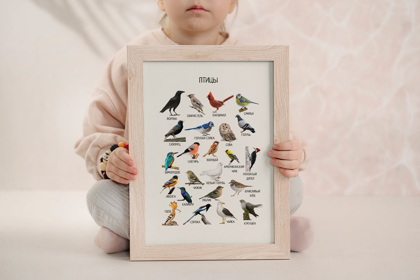 Постер "Птицы"| Educational Poster "Birds" (Actual Print) in Russian. Home & Classroom Decor, *Frame not included
