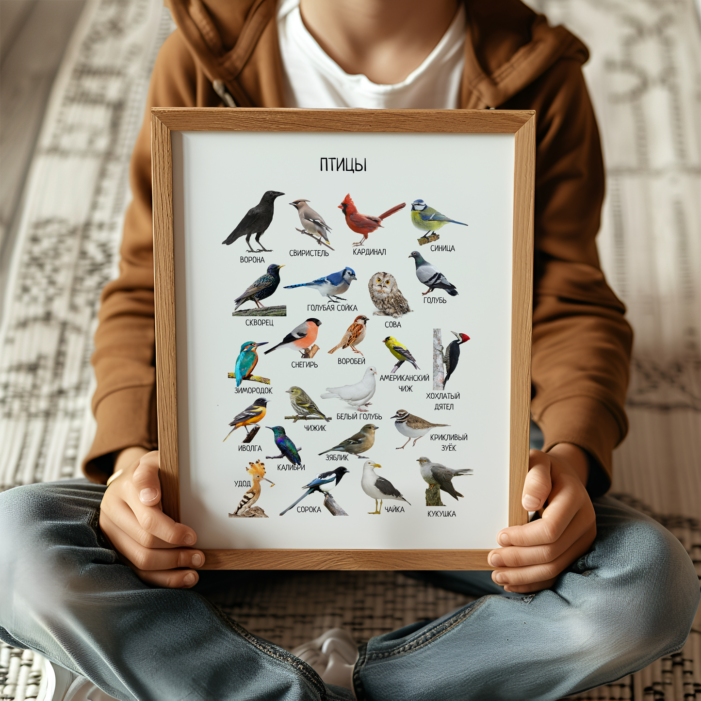 Постер "Птицы"| Educational Poster "Birds" (Actual Print) in Russian. Home & Classroom Decor, *Frame not included