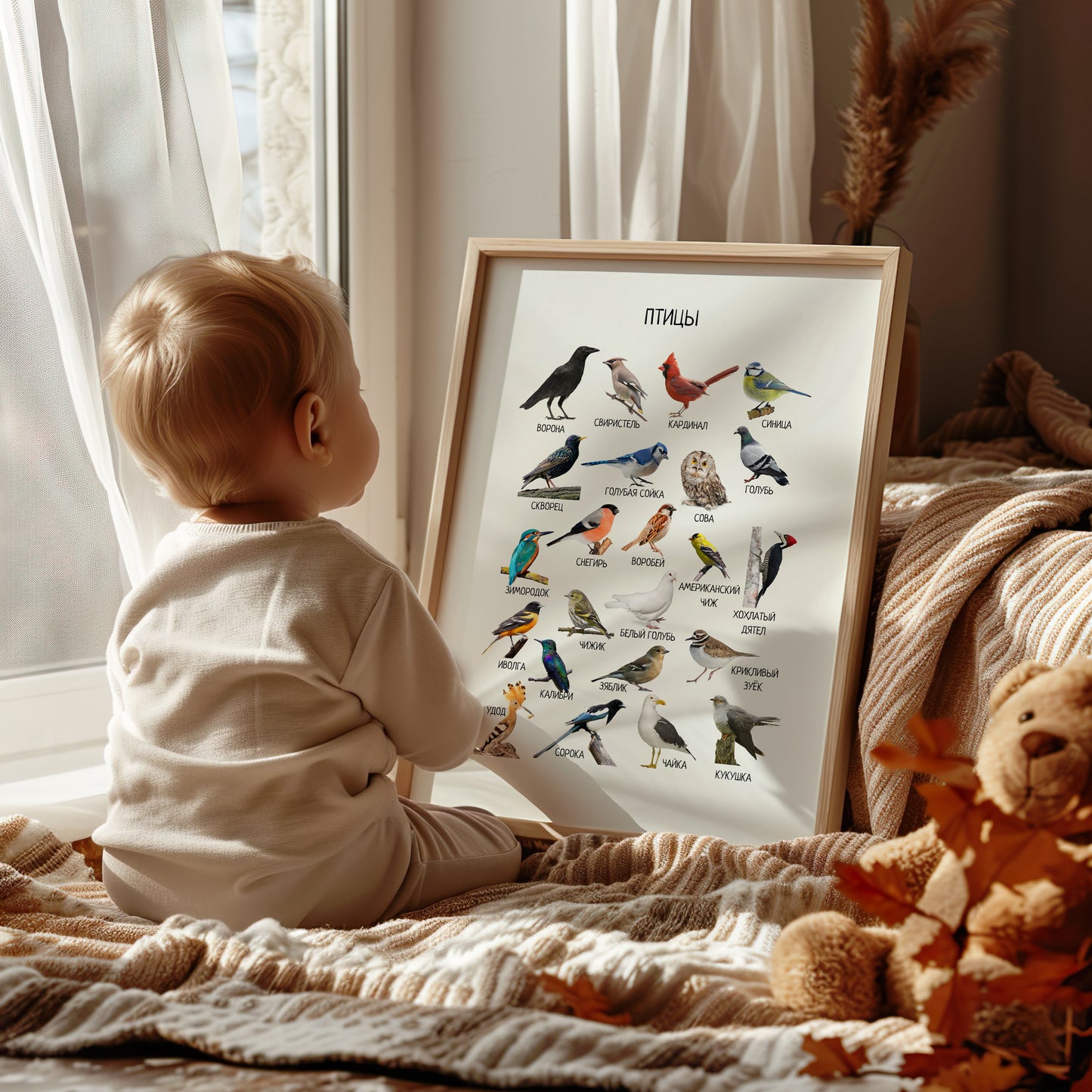 Постер "Птицы"| Educational Poster "Birds" (Actual Print) in Russian. Home & Classroom Decor, *Frame not included