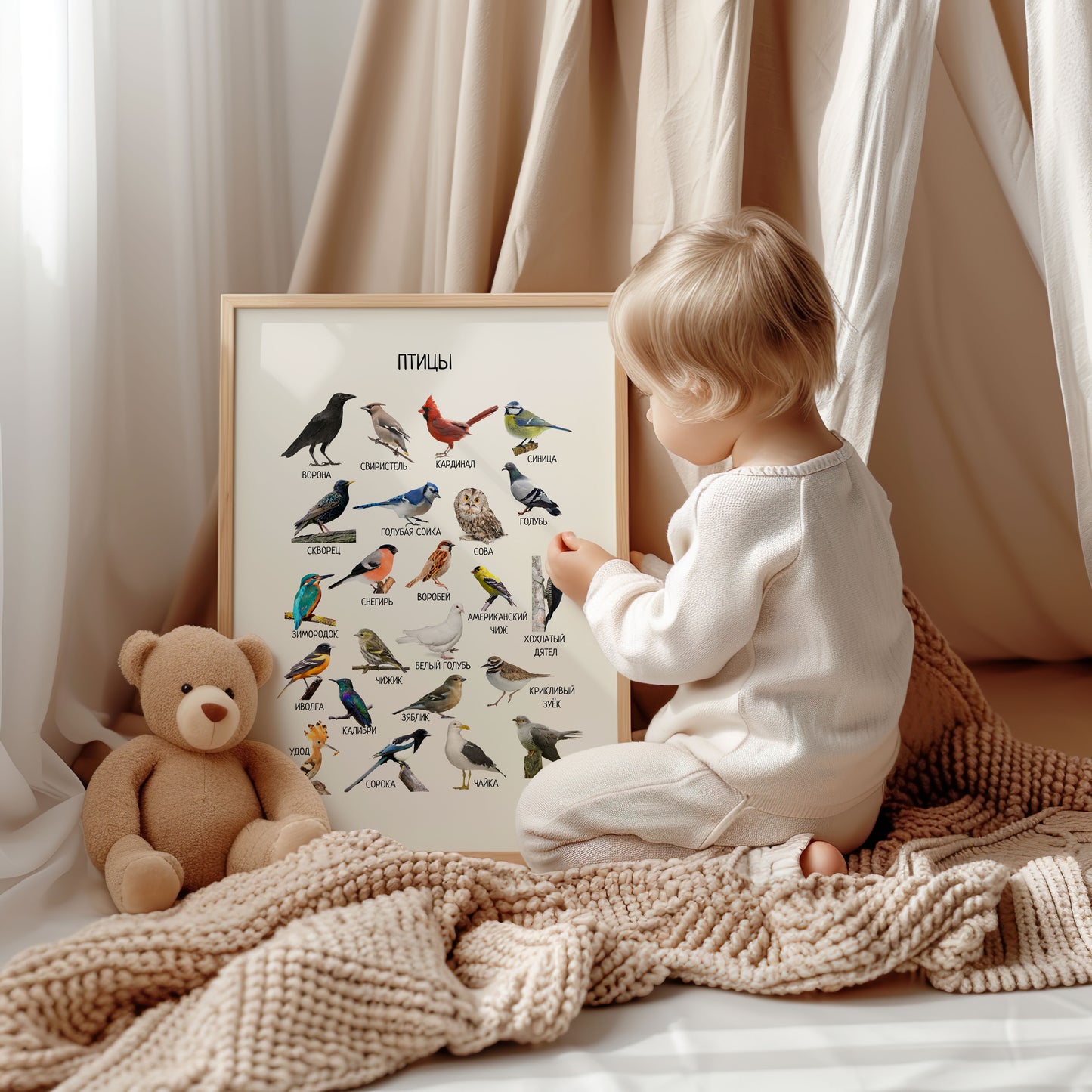 Постер "Птицы"| Educational Poster "Birds" (Actual Print) in Russian. Home & Classroom Decor, *Frame not included