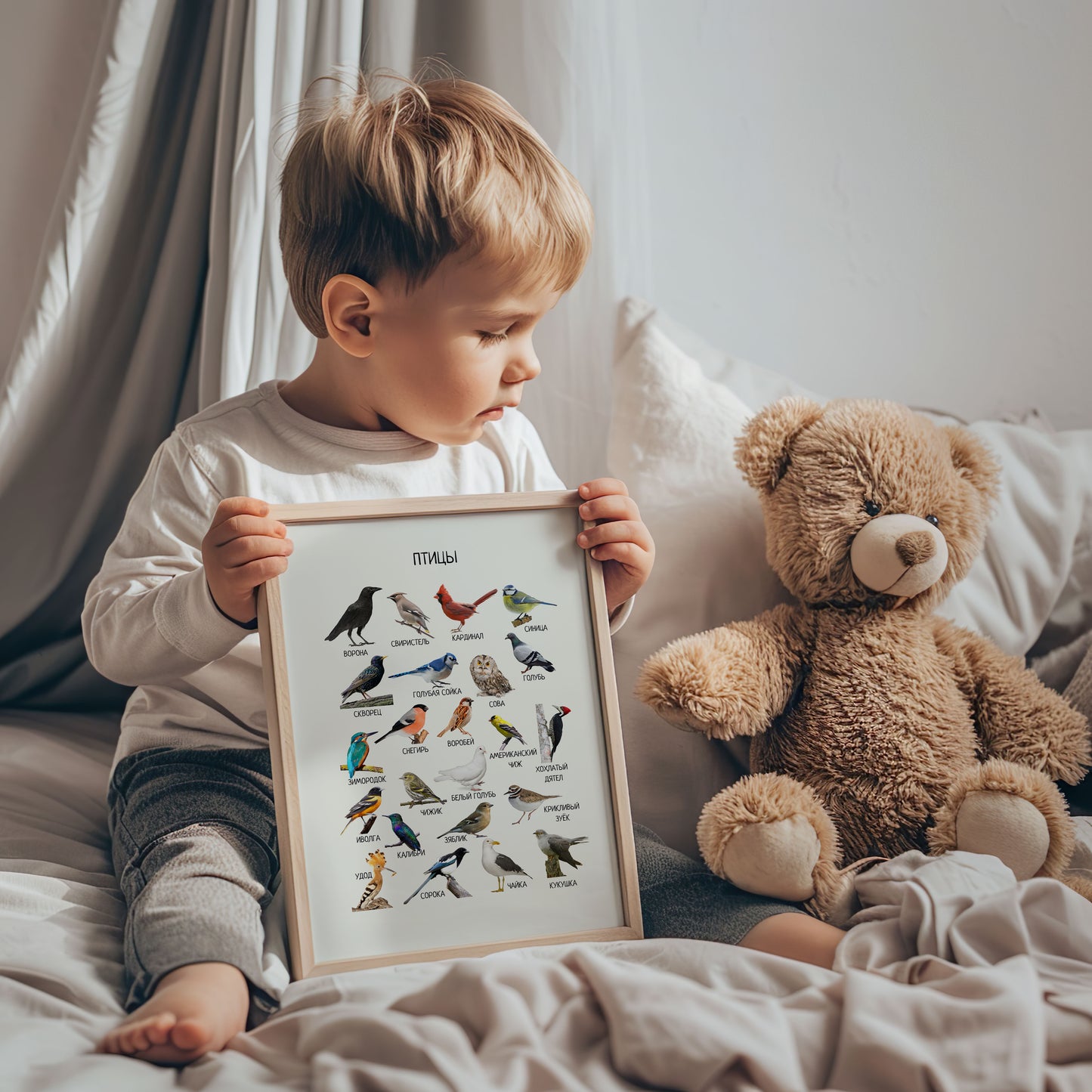 Постер "Птицы"| Educational Poster "Birds" (Actual Print) in Russian. Home & Classroom Decor, *Frame not included