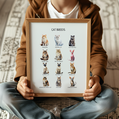 Cat Breeds Poster, Kids Educational Wall Art, Cat Breeds Print, Montessori Material, Classroom Decor, Nursery Room Decor, FRAME NOT INCLUDED