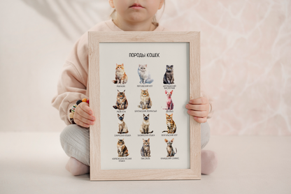 Обучающий плакат "Породы кошек" | Russian Cat Breeds Educational Posters, Printable Posters, Nursery Room Decor,  Various Sizes Available for Download