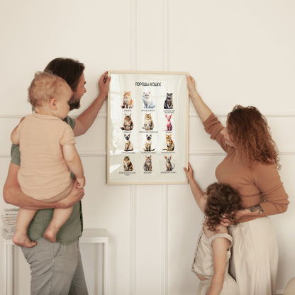 Обучающий плакат "Породы кошек" | Russian Cat Breeds Educational Posters, Printable Posters, Nursery Room Decor,  Various Sizes Available for Download