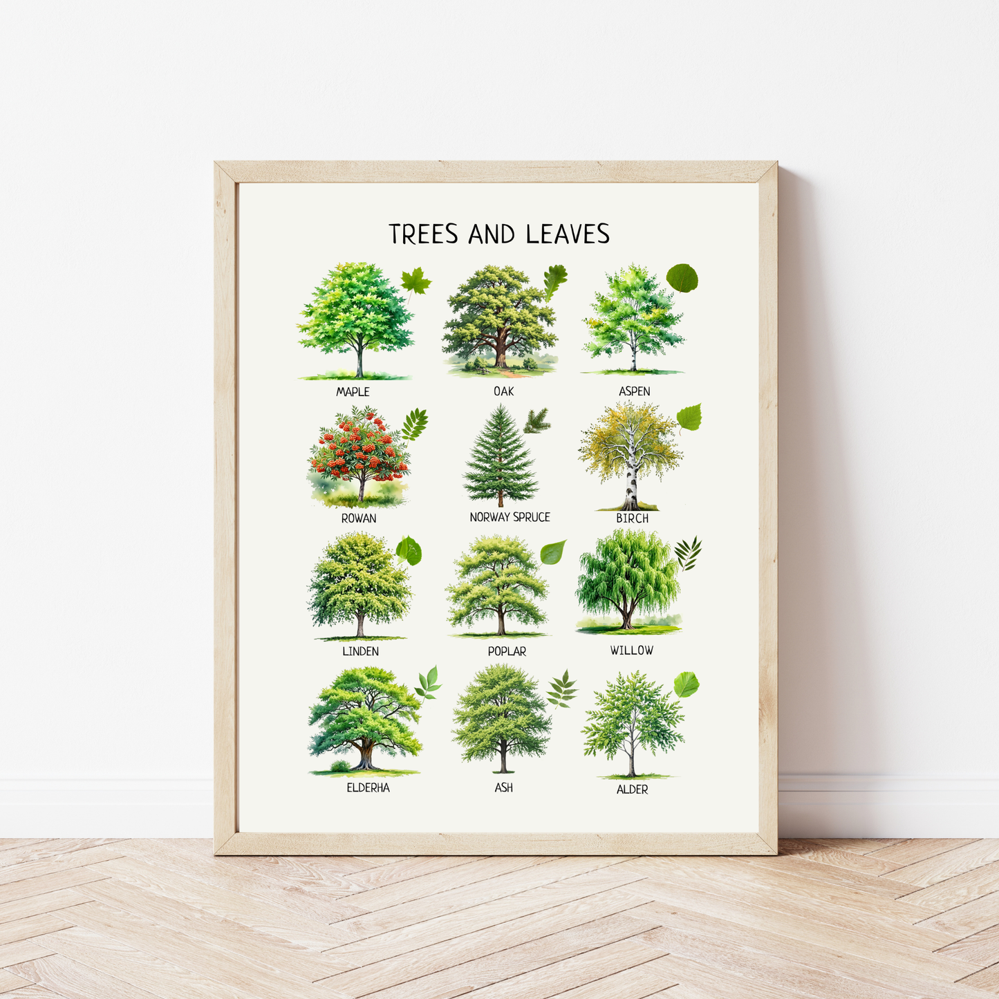 Trees and Leaves Poster – Educational Nature Wall Art Print