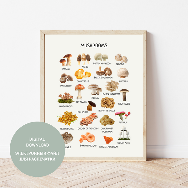 Mushroom Poster - Homeschool Educational Learning Printable Wall Decor Poster