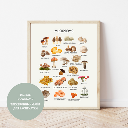Mushroom Poster - Homeschool Educational Learning Printable Wall Decor Poster