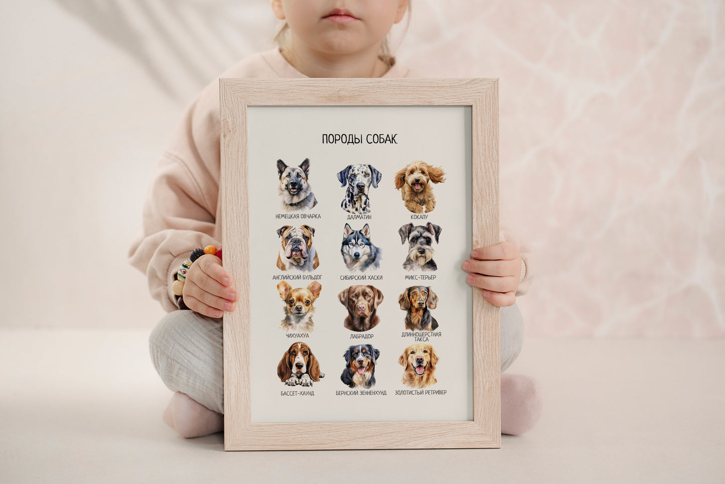 Постер "Породы собак"| Educational Poster (Actual Print) in Russian. Home & Classroom Decor, *Frame not included