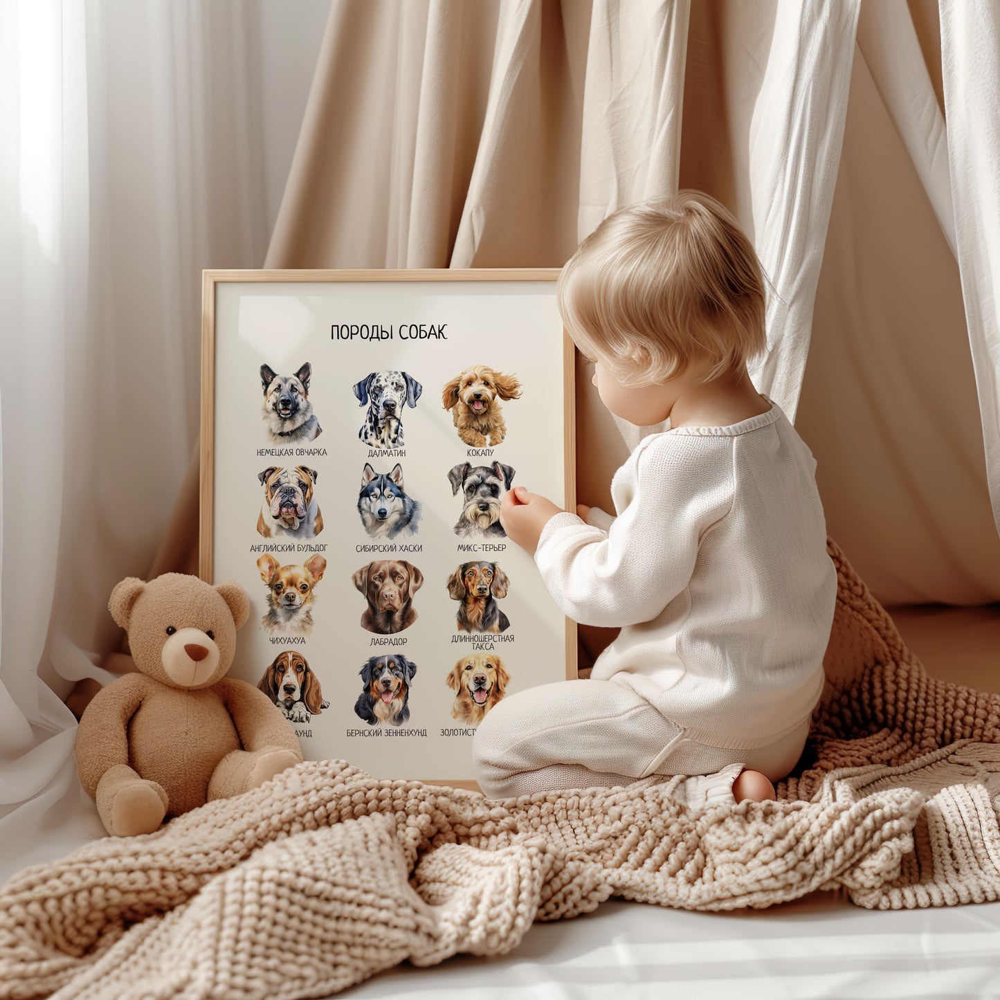 Постер "Породы собак"| Educational Poster (Actual Print) in Russian. Home & Classroom Decor, *Frame not included