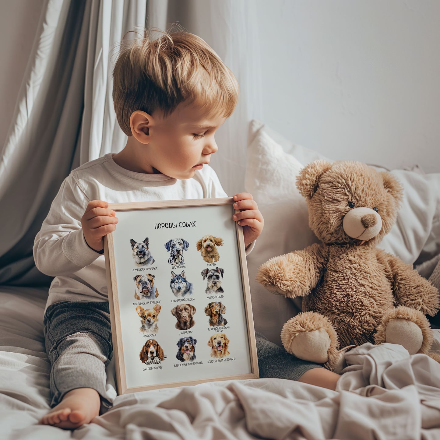Постер "Породы собак"| Educational Poster (Actual Print) in Russian. Home & Classroom Decor, *Frame not included