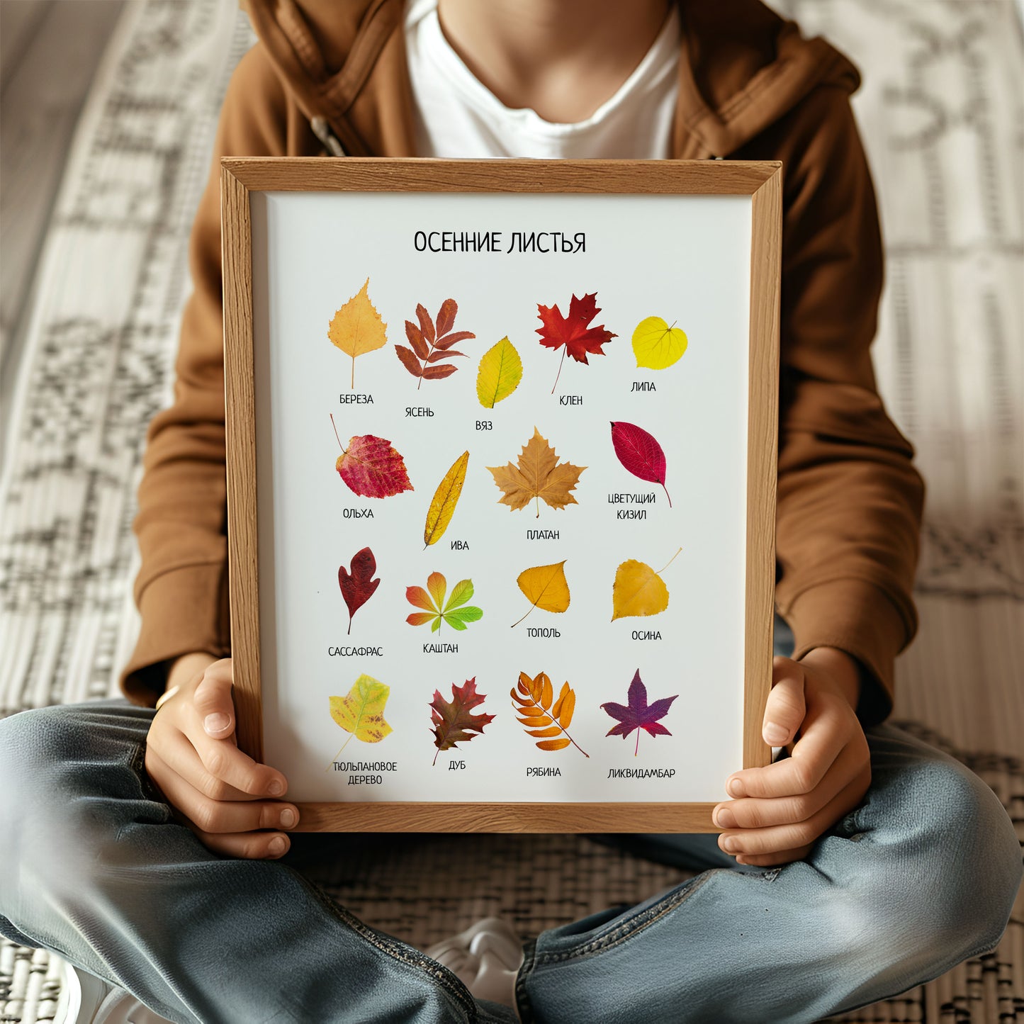 Fall Leaves Poster - Educational Russian Wall Decor Poster