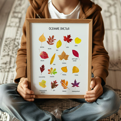Fall Leaves Poster - Educational Russian Wall Decor Poster