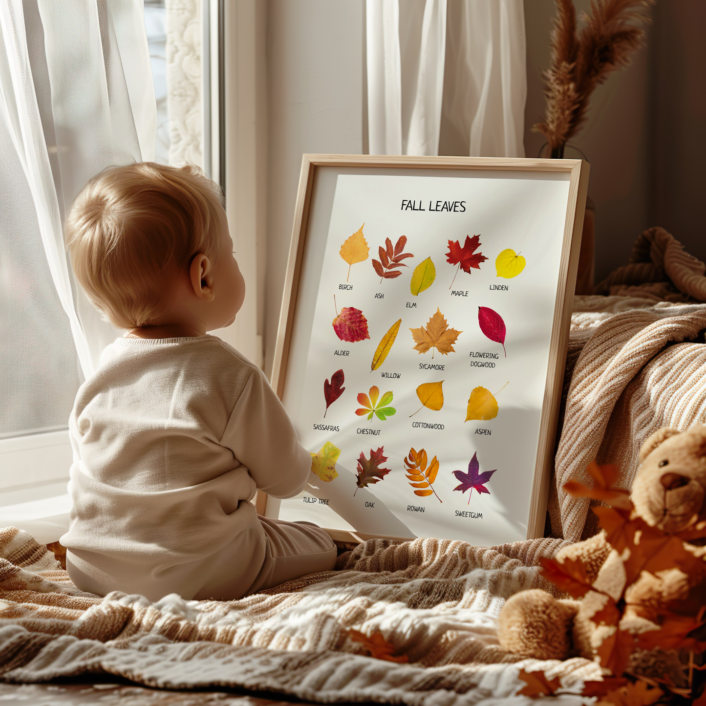 Fall Leaves Poster – Educational Nature Wall Art Print