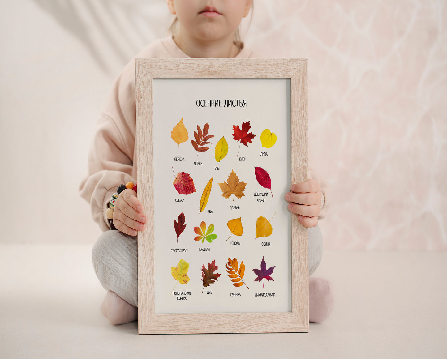 Fall Leaves Poster - Educational Russian Wall Decor Poster